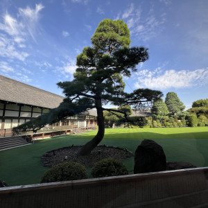 綺麗にお手入れされたお庭。|774542さんの明治神宮・明治記念館の写真(2555495)