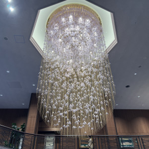 桜の照明が素敵でした|774542さんの明治神宮・明治記念館の写真(2555491)