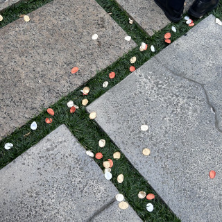 フラワーシャワー