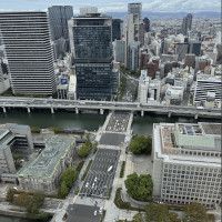 御堂筋を一望できます。