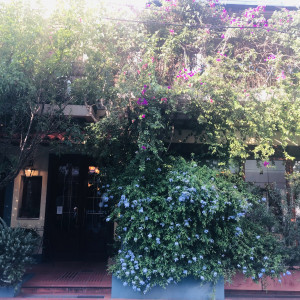 披露宴会場外観|774734さんの南青山ル・アンジェ教会の写真(2555641)