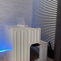 白のオルガンもカッコよかったです