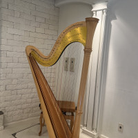 生のハープ演奏もあるそうです。