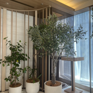 会場はオリーブの木をイメージしているそうでした。|774735さんのザ マグナス 東京(THE MAGNUS TOKYO)の写真(2557697)