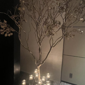 館内にも植栽がありました。|774735さんのコンラッド東京の写真(2593706)