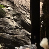 壁が特徴的だったので参考に