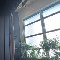 メインテーブルの後ろは光が差し込みます