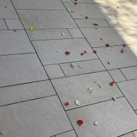 フラワーシャワーの道です