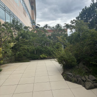 ここでフラワーシャワーができます