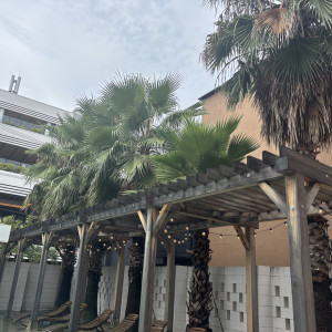 緑溢れるガーデン|774818さんのWEEKEND HOUSE  （ウィークエンドハウス）の写真(2556302)