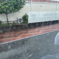 シャトルバスの中から