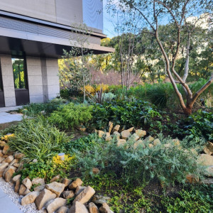 挙式会場外のガーデン|774942さんのTIAD, オートグラフ コレクション（ティアド, オートグラフ コレクション）の写真(2558563)