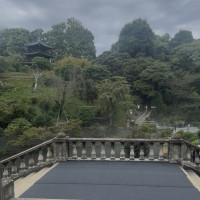 家族写真を撮りたい