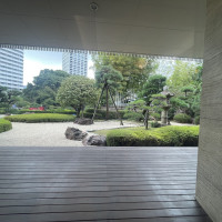 緑が見える会場