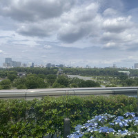 フラワーシャワー会場からの景色