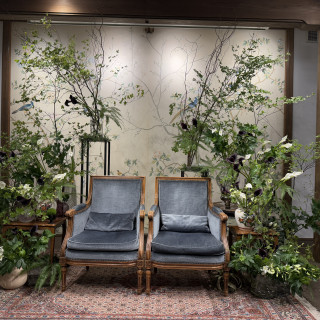 植物が素敵でした!