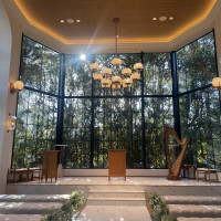 緑がよく見えます