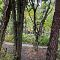 教会の周りは木々がたくさんあり、雨が降っても幻想的な雰囲気