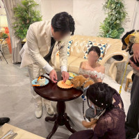 犬用ケーキ演出