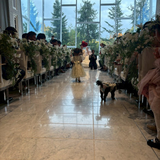 チャペル
リングガール、リングドッグ