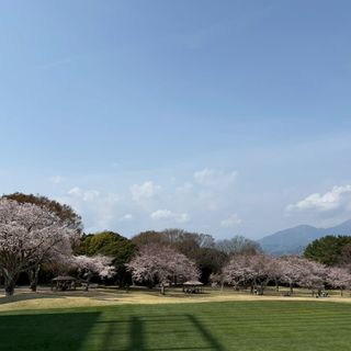 日本平ホテルのクチコミ 庭・ガーデンの写真（1枚目）