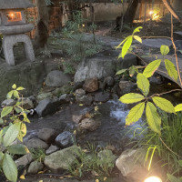 庭の少し段差を登ったところ2