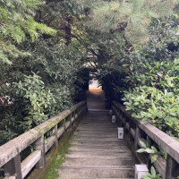 グランメゾンでキムタクが歩いたところ（上から）