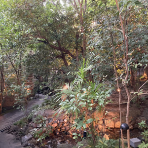 庭の入り口の写真です|775344さんのアカガネリゾート京都東山(AKAGANE RESORT KYOTO HIGASHIYAMA)の写真(2561223)