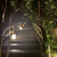 夜でも美しいです