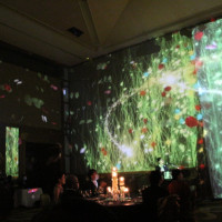 プロジェクションマッピング