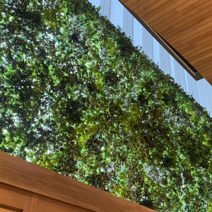 グリーンのカーテン|775572さんのCentral Terrace TOKYO（セントラル テラス トーキョー）の写真(2560984)