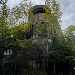 落ち着いた雰囲気。