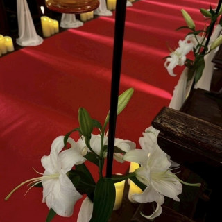 百合のいい匂い