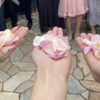 屋上でフラワーシャワー