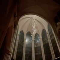 画質粗いのですが、羽が降ってきたシーンです