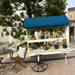 お花|775621さんのアニヴェルセル 大宮の写真(2560762)