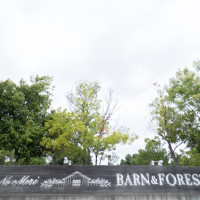 挙式名のわかる外観。森林が綺麗。