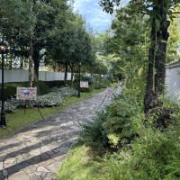庭がかなり広いです!
