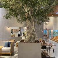 待合室のシンボルツリー、写真など飾り付け可