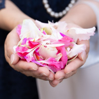 フラワーシャワーの花びら
