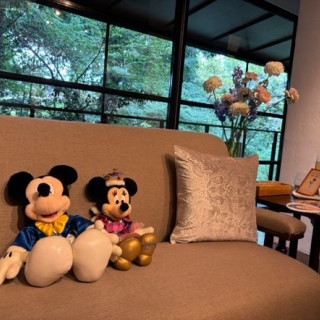 中座中。クッション持ち込みで色味を統一させました。