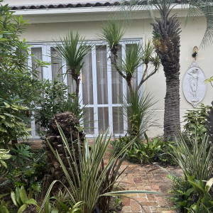 中庭|775934さんのベル・カーサの写真(2575609)