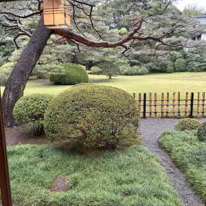 桃林苑|775955さんの明治神宮・明治記念館の写真(2562714)