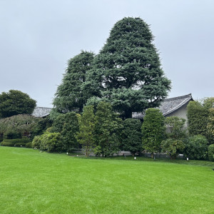 庭|775955さんの明治神宮・明治記念館の写真(2562703)