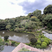 提案