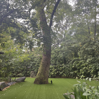 ガーデンとシンボルとなる1番大きな木