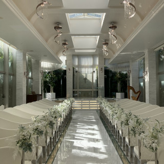 自然光・水・緑が感じられる空間が広がっています