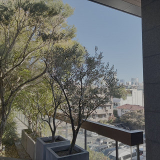 緑が多くナチュラルな雰囲気でした。