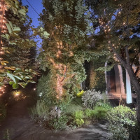 夜は一気に雰囲気が変わり、幻想的になります