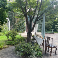 緑と自然光が心地よい空間を作り上げてました